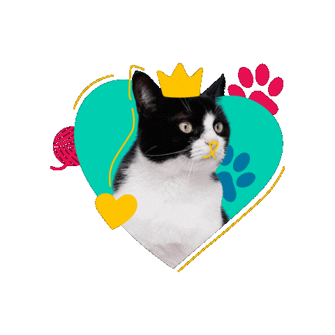 Pet Month Sticker by Cronos Logistics