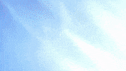 Basketball Baloncesto GIF by San Pablo Burgos