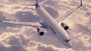 GIF by Wingo