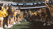 College Football GIF by Baylor Athletics