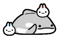 Orca Sticker