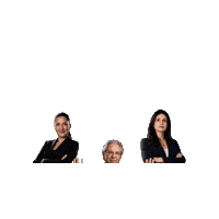 Paulo Guedes Dani Sticker by MarinaHelenaBR