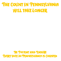 Be Patient 2020 Election Sticker by Creative Courage