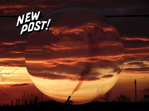 You Can Wow GIF by PrivatschulenPORTAL.de