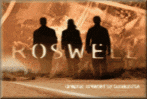 neveranennecastiglione giphyupload GIF