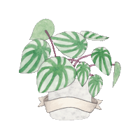 Plant Plantdad Sticker