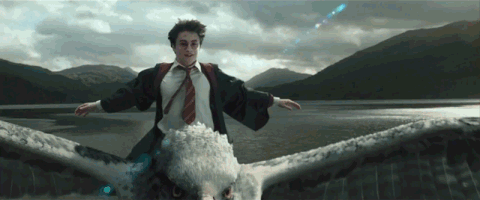 wild movie GIF