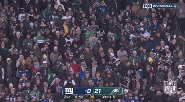 Philadelphia Eagles Football GIF by NFL