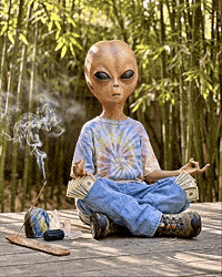 Mood Relaxing GIF by Lil Mayo