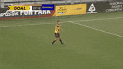 Usl Championship Dance GIF by Charleston Battery
