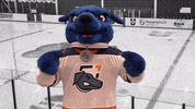 ontariotechridgebacks oshawa ontariotechridgebacks ontariotech ontario tech GIF