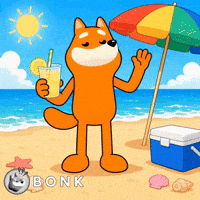 Summer Crypto GIF by BONK