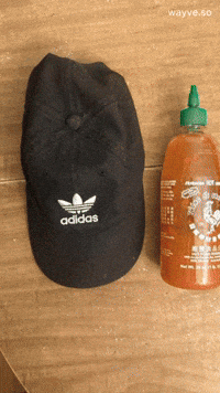 Fitness Sneakers GIF by Darwin