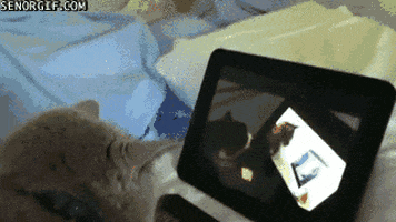 interested recursion GIF by Cheezburger