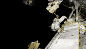 space astronaut GIF by NASA