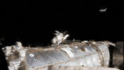 space astronaut GIF by NASA