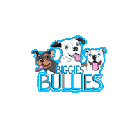 biggiesbullies rescue pitbull biggies biggies bullies Sticker