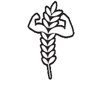 Fitness Workout Sticker by The Incredible Oat
