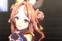 Uma Musume Pretty Derby Wonder GIF