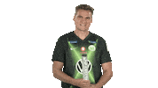Vfl Wolfsburg Fifa Sticker by Bundesliga