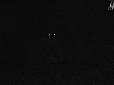 creeping GIF
