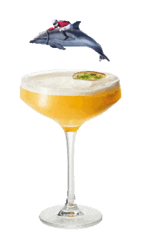 42-BELOW cocktail vodka jacket dolphin Sticker