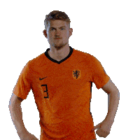Nederlands Elftal Euro2020 Sticker by OnsOranje