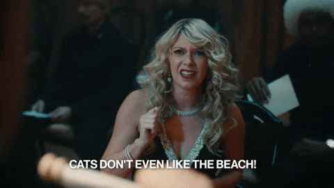 Music Video What GIF by Taylor Swift