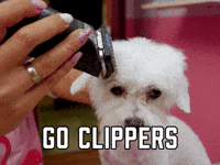 Go Clippers