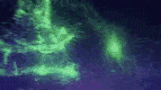 Interlocking Baylor Bears GIF by Baylor University
