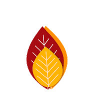 Bebida Te Sticker by Grupo ISM