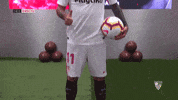 la liga soccer GIF by Sevilla Fútbol Club