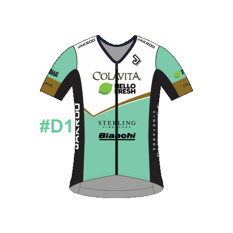 D1 Sticker by USA CRITS