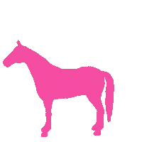 Fashion Horse Sticker by misscountry