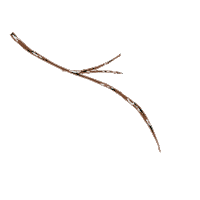 Flower Sticker by Foil Me