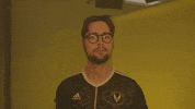 Lfl GIF by Team Vitality