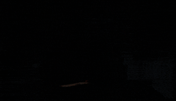 Scary Movie Halloween GIF by NETFLIX
