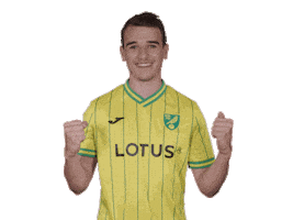 Premier League Soccer Sticker by Norwich City Football Club