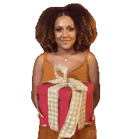 Christmas Gift Sticker by Lojas Leader