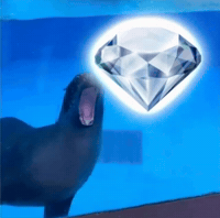 Seal Wow GIF