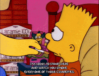 season 3 homer GIF