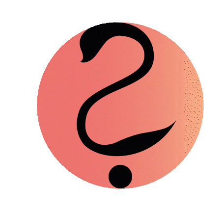 Schwan Frage Sticker by Caroline Schwanbeck