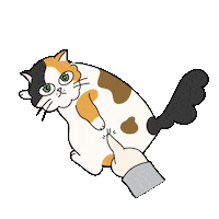 Cats Sticker