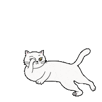 Catalogue2026 cat catalogue2026 Sticker
