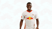 Oh Yeah Yes GIF by RB Leipzig