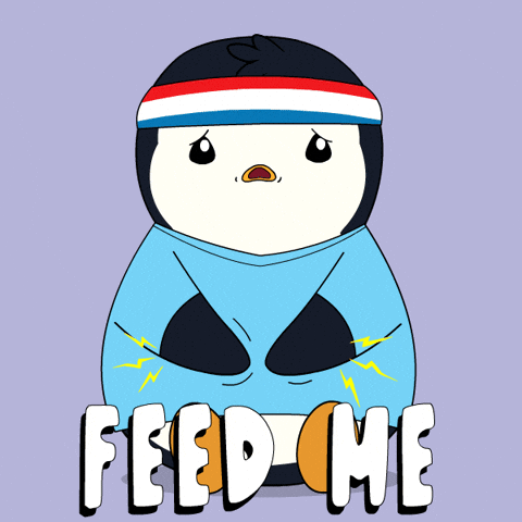 Hungry Feed Me GIF by Pudgy Penguins