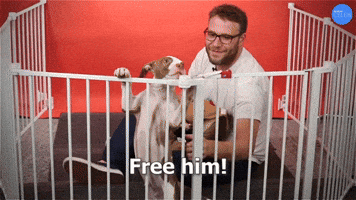 Free HIm!