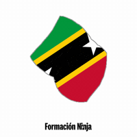 Saint Kitts And Nevis Flag GIF by Formación Ninja