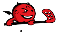 Salibandy Sticker by Liiganaiset