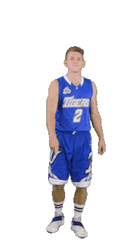 Basketball Swipe Sticker by ACSL - Austrian College Sports League